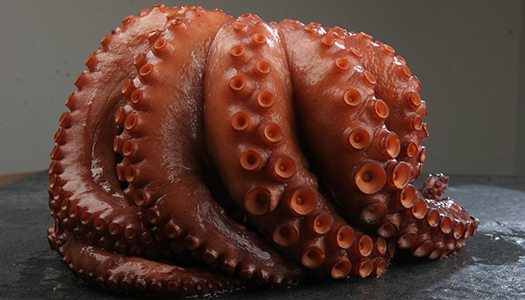 pulpo-congelado
