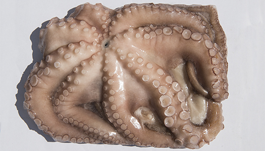pulpo elaborado