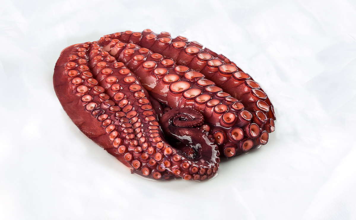 pulpo cocido en flor pulpo cocido en flor