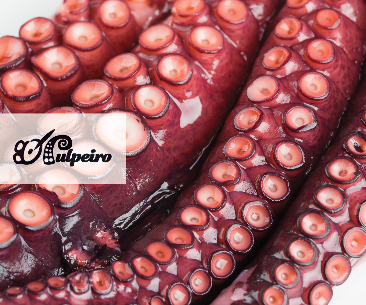 pulpo cocido y pasteurizado o pulpeiro