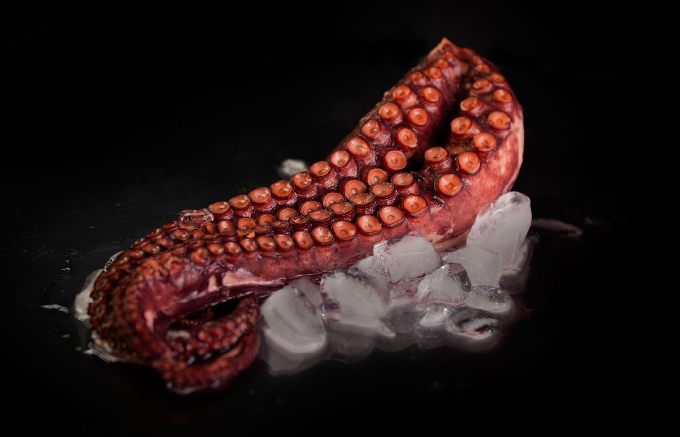 pulpo gallego cocido y ultracongelado o pasteurizado