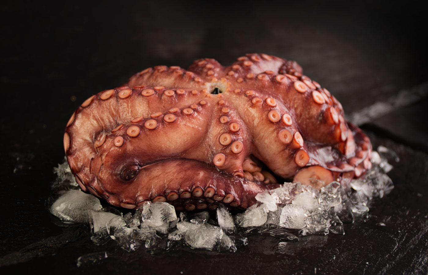 pulpo gallego cocido y ultracongelado o pasteurizado